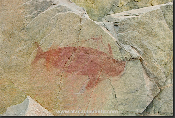 Photo: ancient desert art in Chile