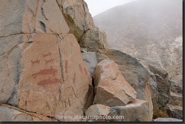 Photo: ancient desert rock paintings