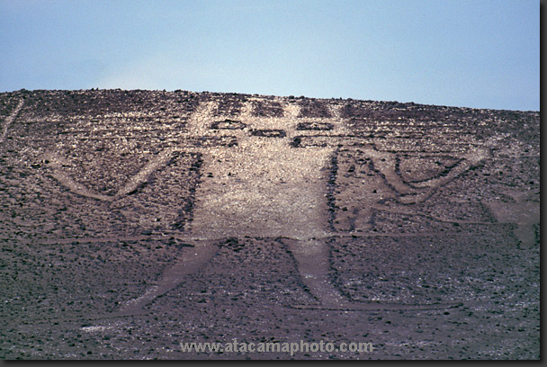 photo: el Gigante de Atacama