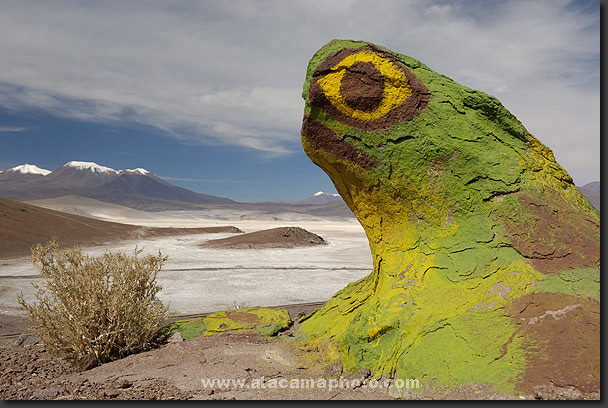 photo: modern art in Atacama Desert