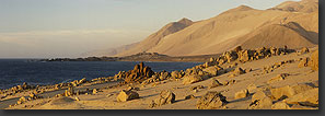 photo: Atacama Desert coast