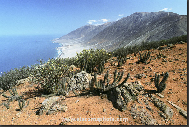 Photo: Paposo coast