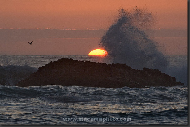 photo: sunset on desert coast