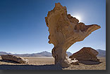 photo: arbol de piedra in Bolivia