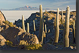 photo: Uyuni Salt flat with Isla del Pescado in Bolivia