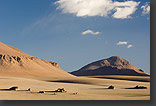 photo: desert landscape