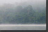 Chalalan Lake