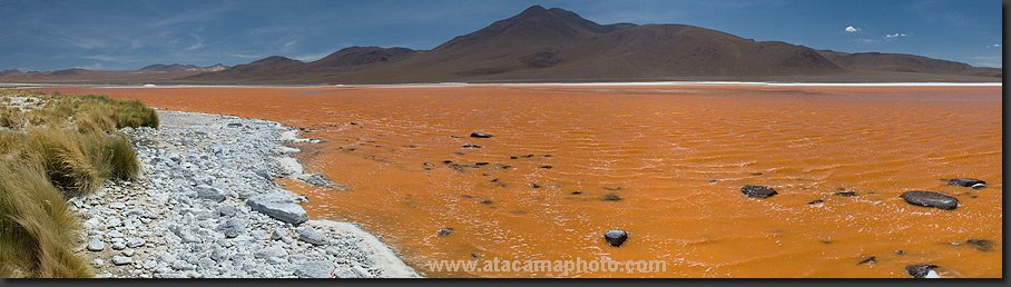 Photo: panoramic view of Laguna Colorada