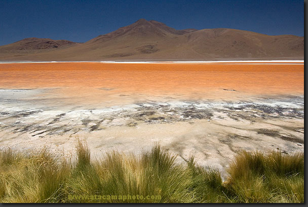 photo: Laguna Colorada