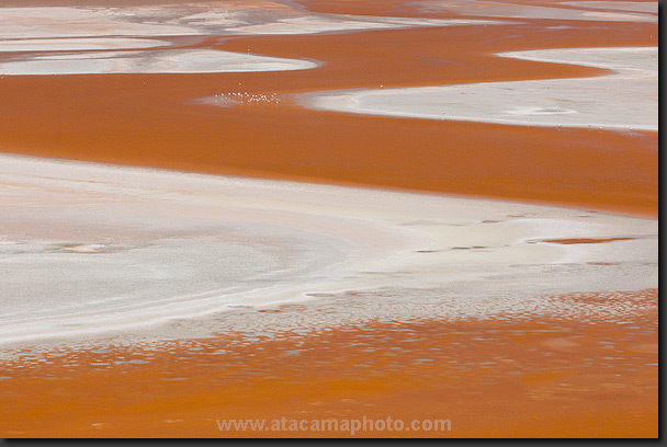 photo: incredible colors of a red lagoon