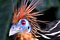 Madidi National Park